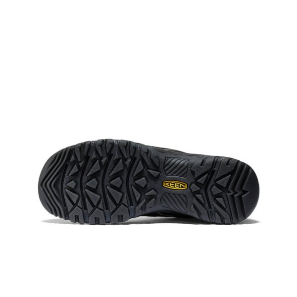 Men's Targhee IV Vented Hiking Shoe  |  Bison/Golden Yellow