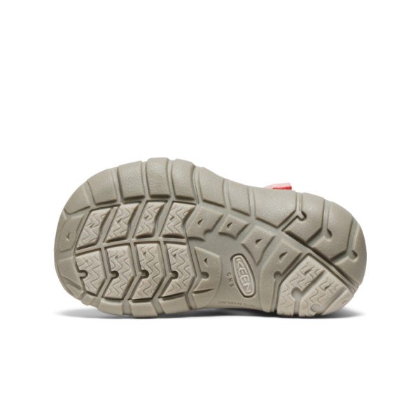 Toddlers' Seacamp II CNX  |  Dubarry/Giggle Pink