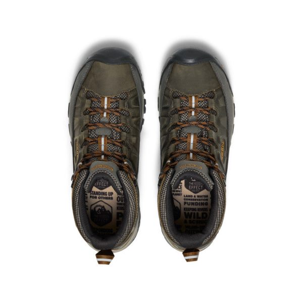Men's Targhee III Waterproof Mid Wide | Black Olive/Golden Brown