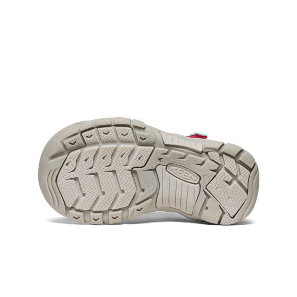 Little Kids' Newport H2  |  Raspberry/Giggle Pink