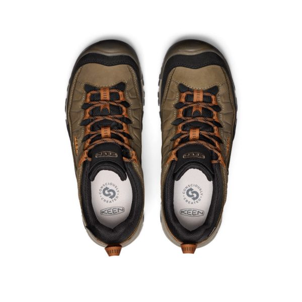 Men's Targhee IV Wide Waterproof Hiking Shoe | Sea Turtle/Roasted Pecan
