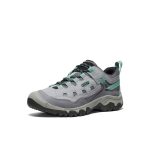 Women's Targhee IV Vented Hiking Shoe | Alloy/Granite Green