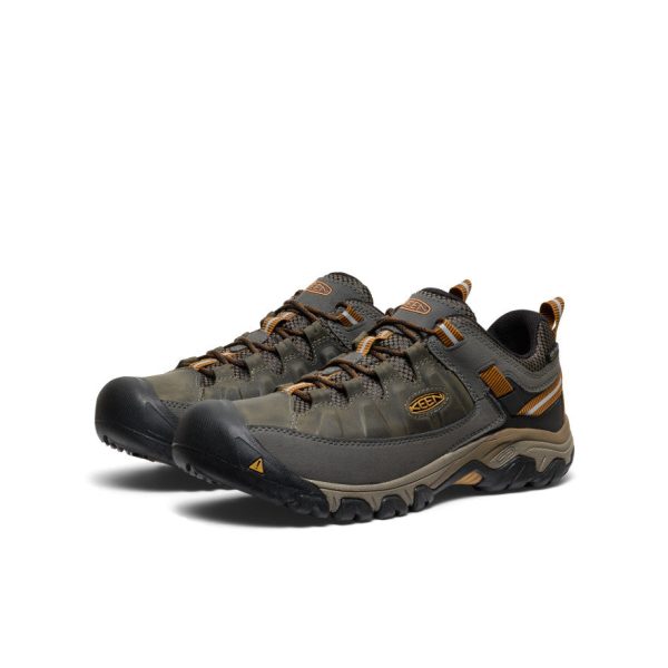 Men's Targhee III Waterproof | Black Olive/Golden Brown