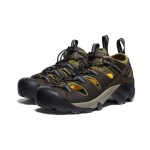 Men's Arroyo II | Canteen/Black
