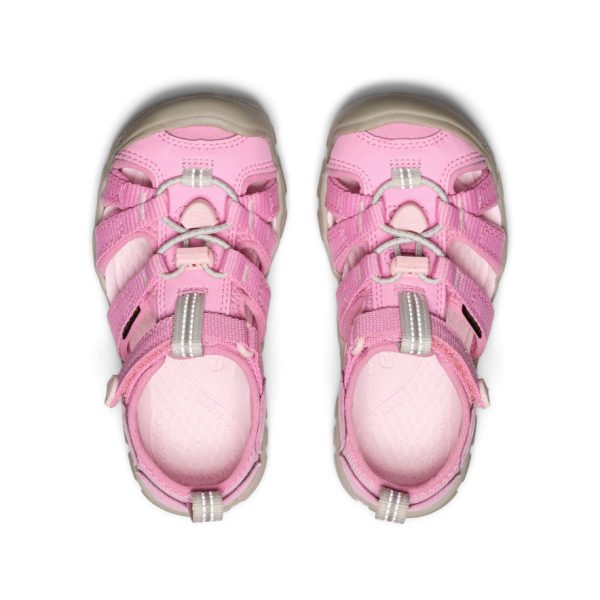 Little Kids' Seacamp II CNX | Moonlite Mauve/Giggle Pink