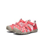 Big Kids' Seacamp II CNX | Dubarry/Giggle Pink