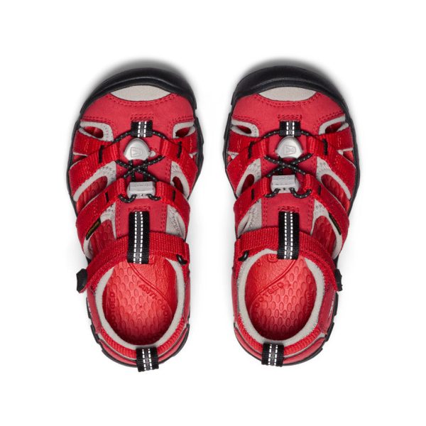 Little Kids' Seacamp II CNX | Ribbon Red/Alloy