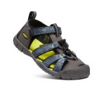 Big Kids' Seacamp II CNX | Magnet/Evening Primrose
