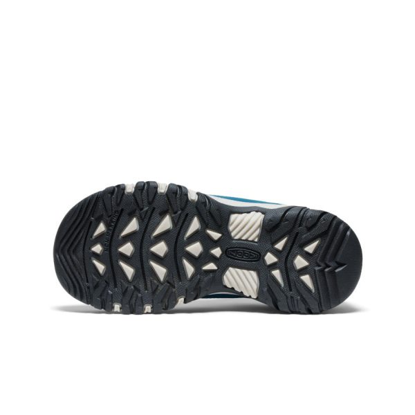 Big Kids' Targhee IV Waterproof Hiking Shoe | Reef Waters/Daiquiri Green