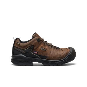 Men's Targhee IV Waterproof Work Shoe (Carbon Toe) | Dark Earth/Black