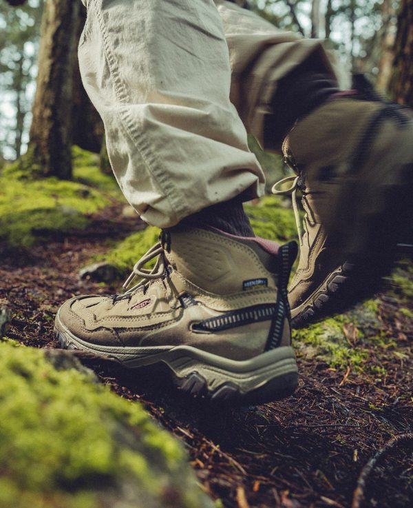 Women's Targhee IV Waterproof Hiking Boot | Bison/Beaujolais
