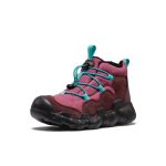 Big Kids' Hypowser Waterproof Chukka  |  Huckleberry/Violet Quartz