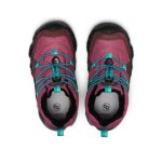 Big Kids' Hypowser Waterproof Chukka  |  Huckleberry/Violet Quartz