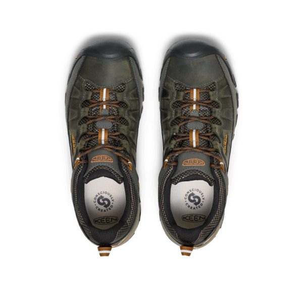 Men's Targhee III Waterproof | Black Olive/Golden Brown