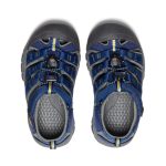 Little Kids' Newport H2 | Blue Depths/Gargoyle