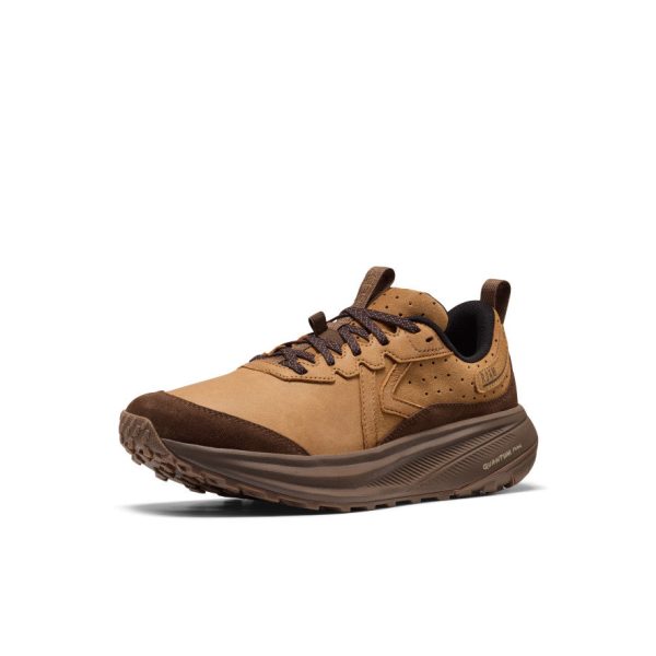 Men's Roam Leather Trail Running Shoe | Chipmunk/Dark Earth