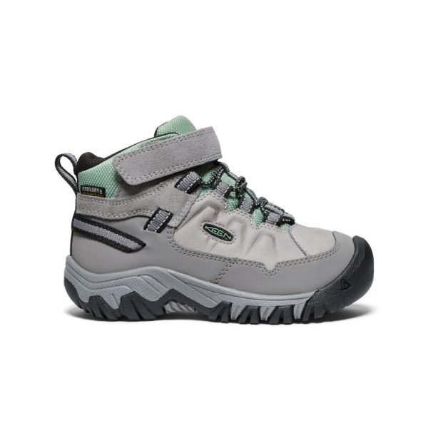 Little Kids' Targhee IV Waterproof Hiking Boot | Alloy/Granite Green