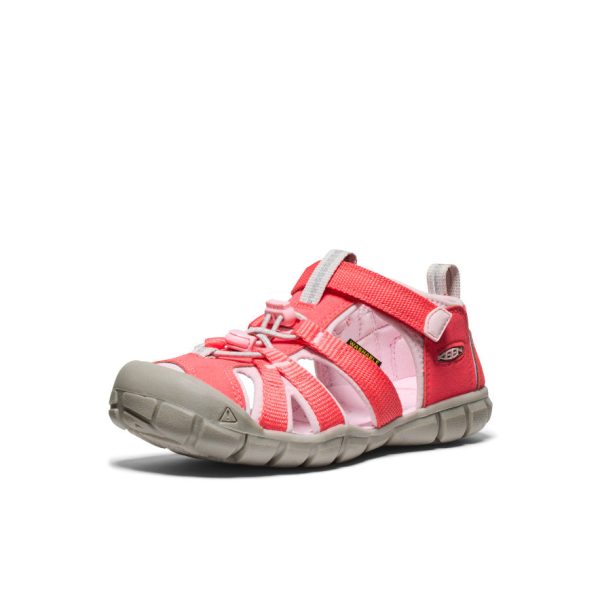 Big Kids' Seacamp II CNX | Dubarry/Giggle Pink