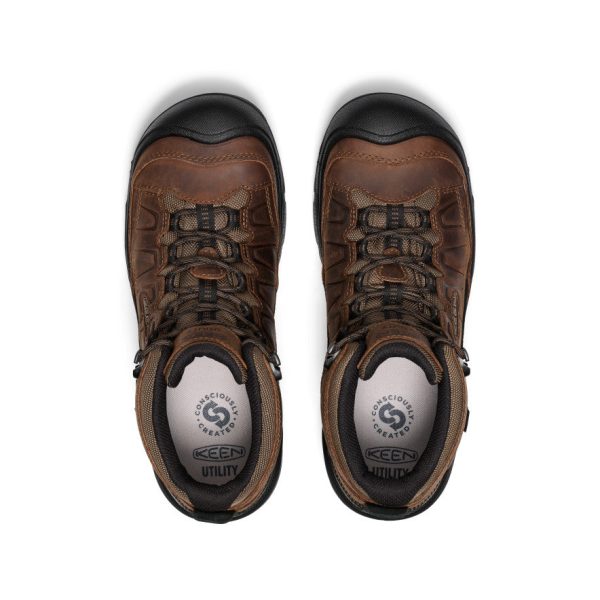 Men's Targhee IV Waterproof Work Boot (Carbon Toe) | Dark Earth/Black